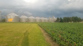 Robinson & Belew, Inc.